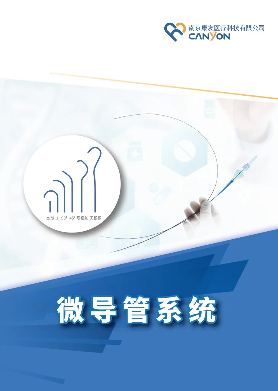 微导管系统